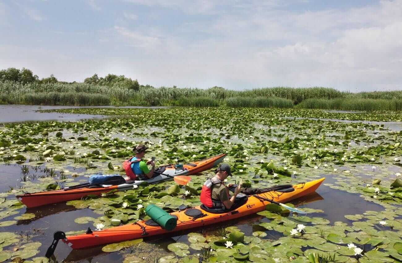 Delta Dunării