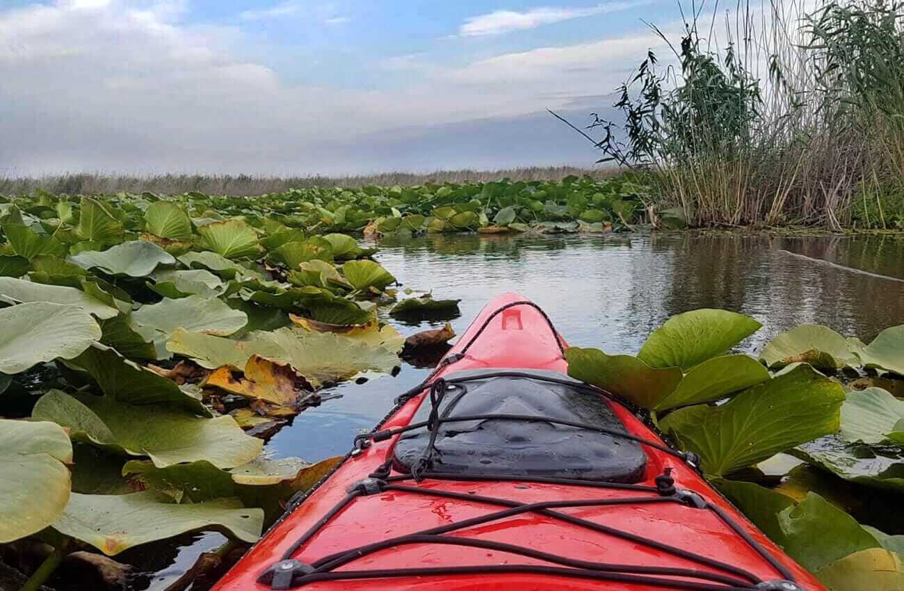 Delta Dunării