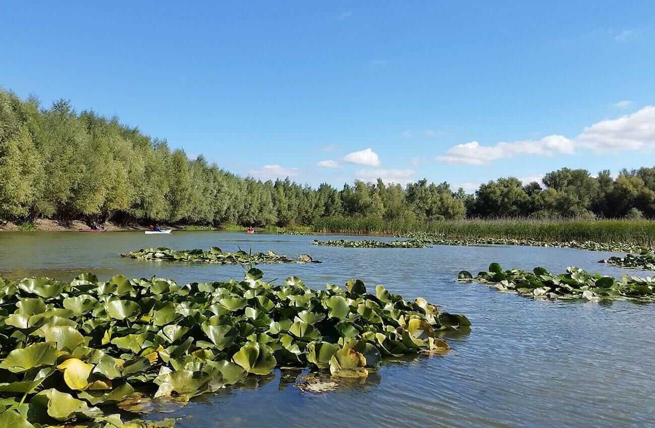 Delta Dunării