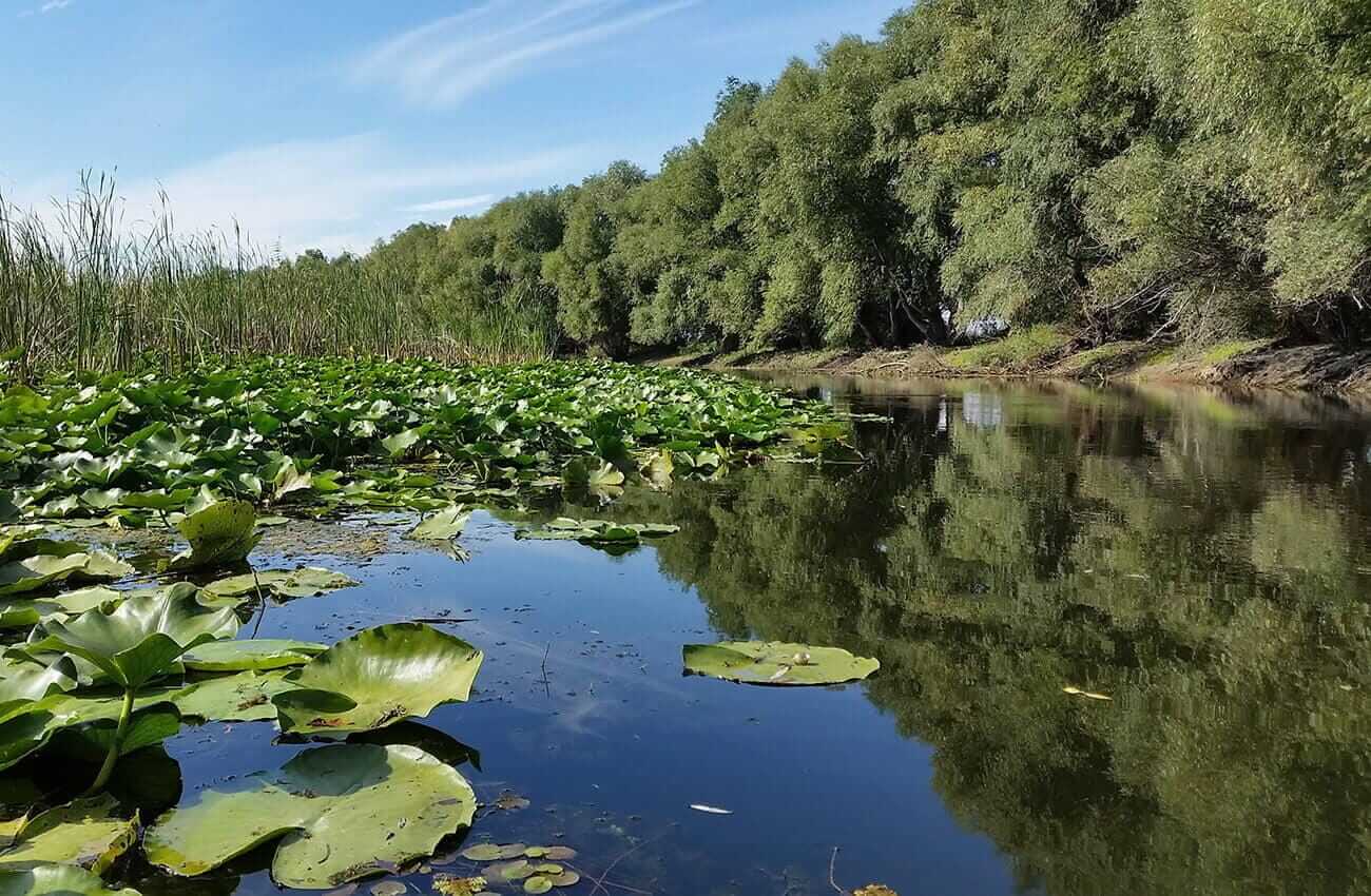Zona Tulcea - Parcheș