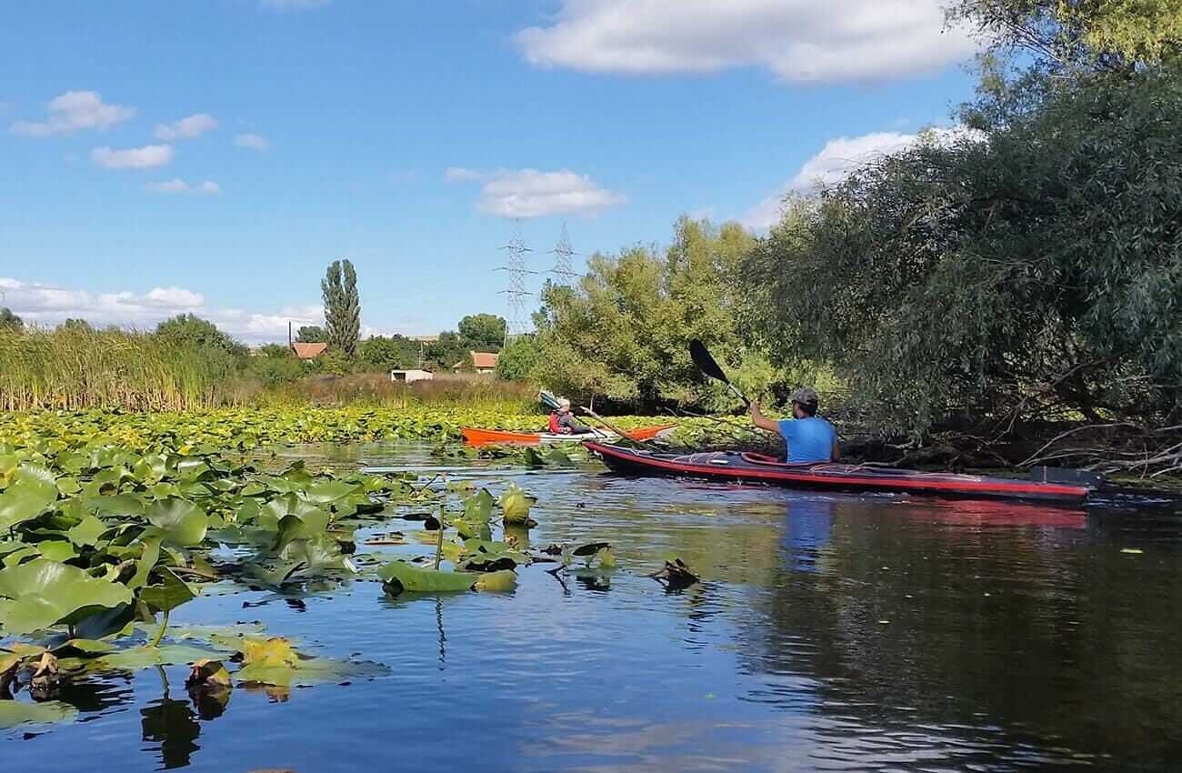 Delta Dunării